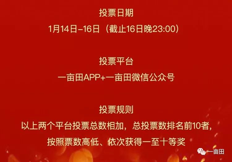 澳门二四六天下彩天天免费大全,澳门二四六天下彩天天免费大全——揭示背后的违法犯罪问题