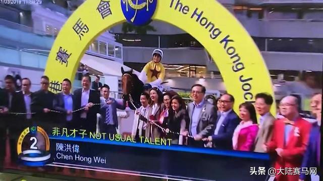 2024今晚香港开特马开什么,探索香港赛马文化，2024今晚特马盛宴展望