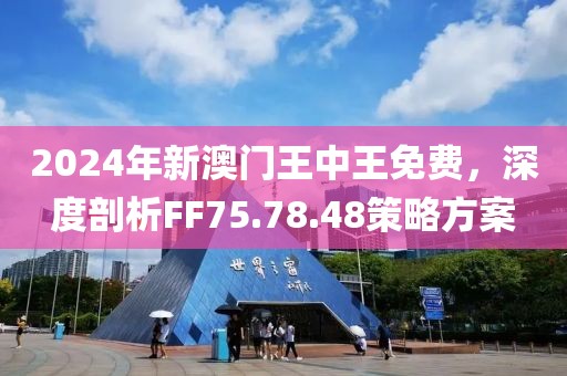 2024年新澳门王中王免费,探索新澳门，2024年王中王免费现象的背后