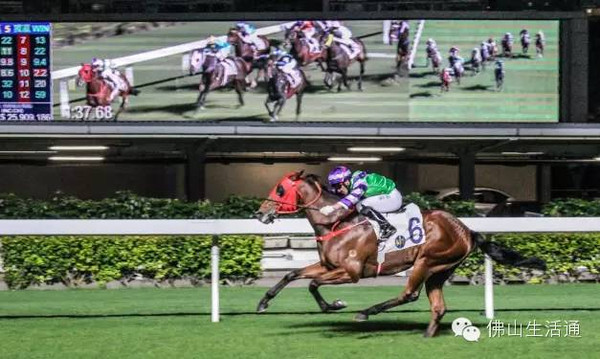 香港最准马会资料免费,香港最准马会资料免费，探索赛马世界的秘密