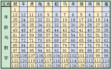 2025十二生肖49码表,揭秘，2025年十二生肖与数字彩票的奥秘——49码表详解