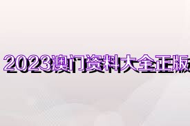 2025澳门资料正版大全,澳门正版资料大全，探索与揭秘2025年澳门的发展蓝图