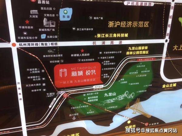 新澳2025最新资料,新澳2025最新资料深度解析