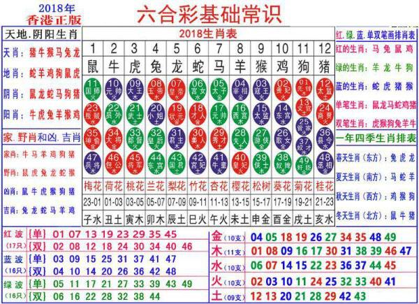 2024澳门正版资料大全资料生肖卡,探索澳门正版资料大全与生肖卡的独特魅力——2024年展望