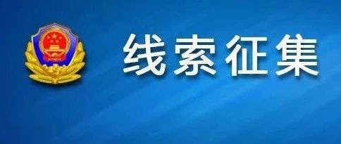 澳门正版资料免费大全新闻——揭示违法犯罪问题,澳门正版资料免费大全新闻——深入揭示违法犯罪问题的严峻性与应对策略