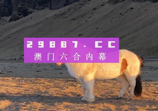 2024澳门六开彩开019期 01-05-07-14-21-26H：22,探索澳门六开彩的魅力，以2024年第019期为例